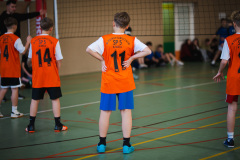 1_2025.11.19-siatkowka-zawodowa-4-6-45