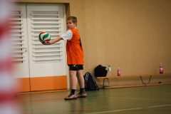 1_2025.11.19-siatkowka-zawodowa-4-6-82