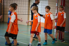 2025.11.19-siatkowka-zawodowa-4-6-17