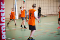 2025.11.19-siatkowka-zawodowa-4-6-2