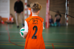 2025.11.19-siatkowka-zawodowa-4-6-32