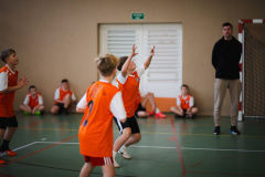 2025.11.19-siatkowka-zawodowa-4-6-36