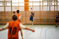 2025.11.19-siatkowka-zawodowa-4-6-6